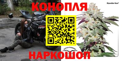 прущие грибы Донецк