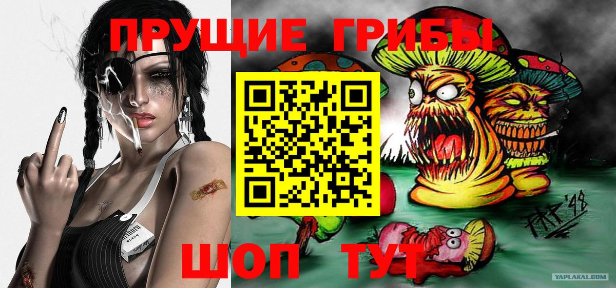 Галлюциногенные грибы GOLDEN TEACHER Мытищи