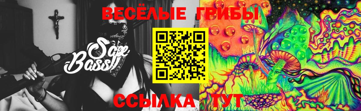 Галлюциногенные грибы MAGIC MUSHROOMS  Вход с VPN  Галлюциногенные грибы Cubensis  Мытищи 
